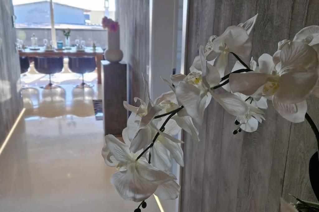 Exklusives Design-Penthouse Mc1 Apartment Seligenstadt Ngoại thất bức ảnh