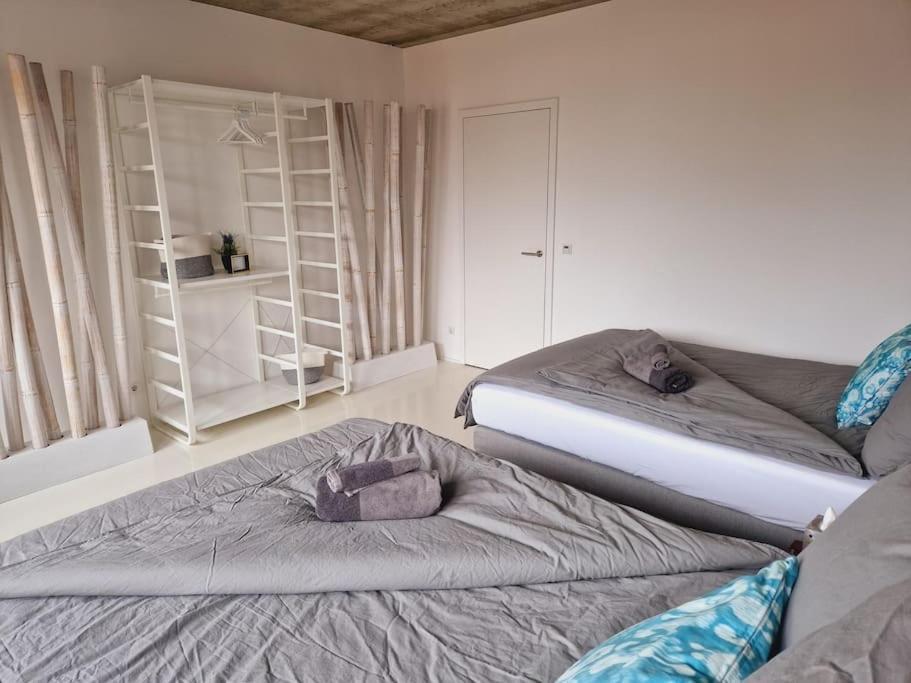 Exklusives Design-Penthouse Mc1 Apartment Seligenstadt Ngoại thất bức ảnh